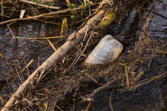 Eine Plastikflasche verschmutzt einen Bachlauf in einem Naturschutzgebiet in Deutschland