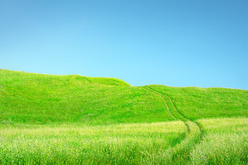 Grass and sky background. Green grass with wheel tracks and hills over clear blue sky