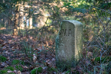 border post, grave stone in the woods, old leaves, green tree needles
