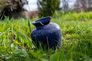 blue anvcient, rustical, chipped vase in the grass