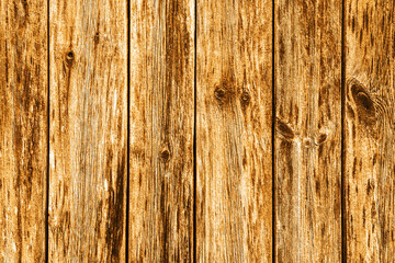 Wood structure texture. Cracked wooden pattern. Plank background. Natural wood board. Dry tree section backdrop. Grunge carpentry desk.