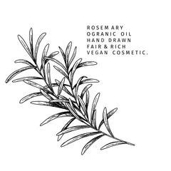 Foto op Plexiglas Hand drawn rosemary branch. Vector engraved illustration. Spicy aromatic herb. Food ingredient, aromatherapy, cooking. For cosmetic package design, medicinal plant, treating, healthcare. © logaryphmic
