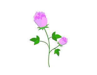 Clover flower icon. Vector illustration