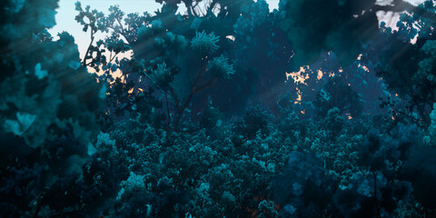 Colorful fantasy forest. Imaginary plants. Dense haze. Vivid concept art scenery. 2d illustration.