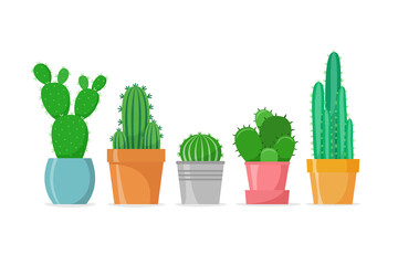 Cactus set in a flat style. Different home cacti in pots. House succulents. Vector illustration