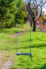 A wooden swing is hanging from a tree with blue ropes on a quiet suburban street