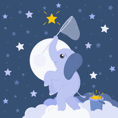 Little baby elephant on fluffy clouds is trying to catch bright yellow star by butterfly net. Vector. Flat design illustration