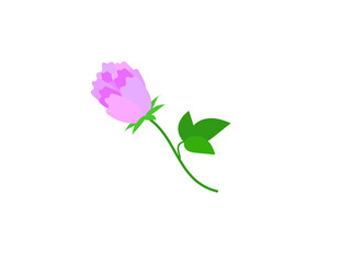 Clover flower icon. Vector illustration