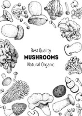 Edible mushrooms hand drawn sketch. Vector illustrations collection. Hand drawn food. Vintage mushrooms sketch. Organic food. Forest mushrooms. Vintage mushrooms background. Healthy food illustration.