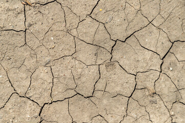 cracked light brown earth dry texture background