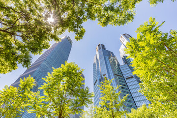 Looking up at the tall buildings in Beijing's central business district, the sun shines on the trees. Modern office building background concept. Beijing, China.