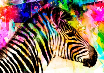 Poster Im Rahmen zebra background © reznik_val