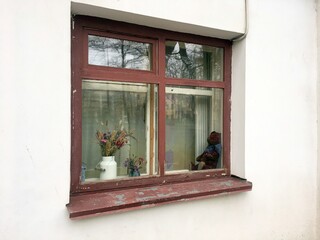 Деревянное окно на белой стене с букетом сухих цветов в бидоне и плюшевым мишкой