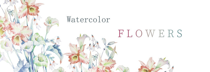 Watercolor irises and calla lilies