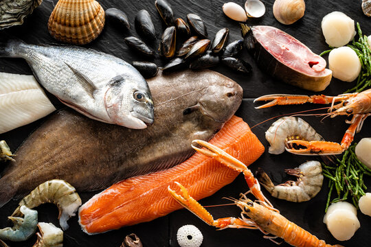 Verschiedene frische Fische und Meeresfr&uuml;chte auf schwarzem Hintergrund