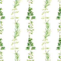 Seamless herbal pattern with watercolor green flavouring, dill, fennel, parsley, arugula, basil, thyme, rosemary