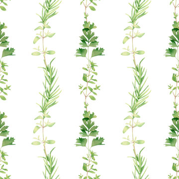 Seamless herbal pattern with watercolor green flavouring, dill, fennel, parsley, arugula, basil, thyme, rosemary