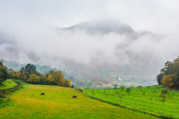 Morning autumn landscape with clouds