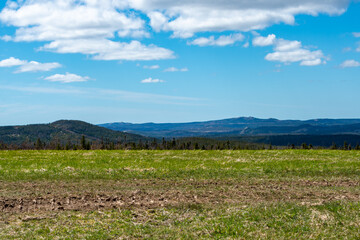 Fototapeta na wymiar A bright blue sky meets rural barren tundra, parched earth. The peat moss is yellow and there's very little green grass on the land. The dry bare countryside has a steady incline to the rocky hill.