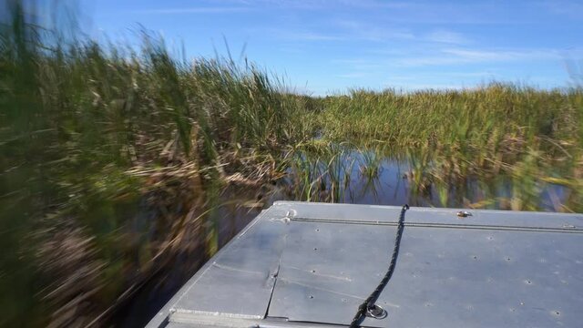 Airboat tour in Eveglades national park, touristic attraction in Miami, South Florida, USA