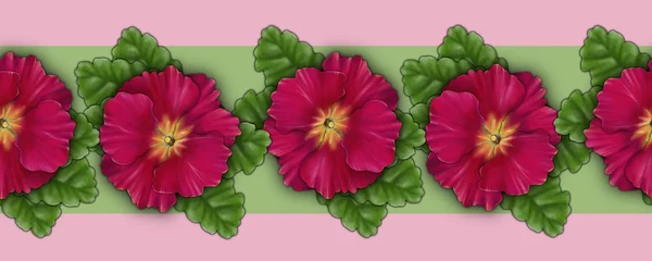 Poster Seamless border, pattern, red primrose flowers top view close-up © Nat
