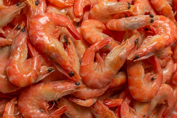 Shrimps background texture. A lot of shrimps. Cooked shrimps.