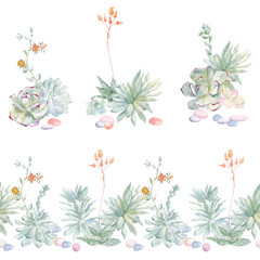set of watercolor bouquets and seamless border of succulents. hand-drawn exotic plants on a light background. Suitable for  social media posts, invitations, greetings