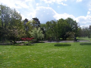 Obraz premium Bäume im Kurpark von Bad Nauheim, Hessen, Deutschland