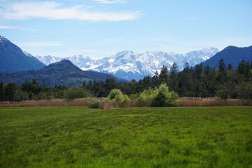 Obraz premium Blick vom Murnauer Moos in die Ammergauer Alpen