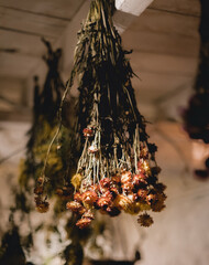 Bouquets of dry flowers hanging from the ceiling