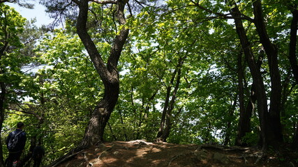 韓国 水原 白雲山の風景