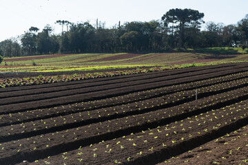 Pequena propriedade rural. São José dos Pinhais, Paraná Brasil.
Small rural property