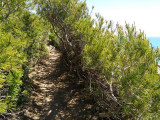 camino de ronda, tarragona, españa, playa, paisaje, cielo, mar, naturaleza, camino, arena,...