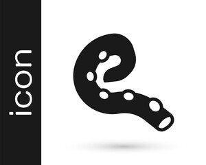 Black Octopus of tentacle icon isolated on white background. Vector