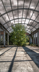 Interior architecture of an old abandoned industrial building 