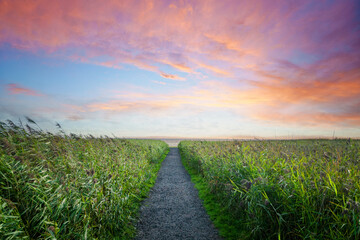 Obraz na płótnie Canvas Trail to the beach in a colourful sunset