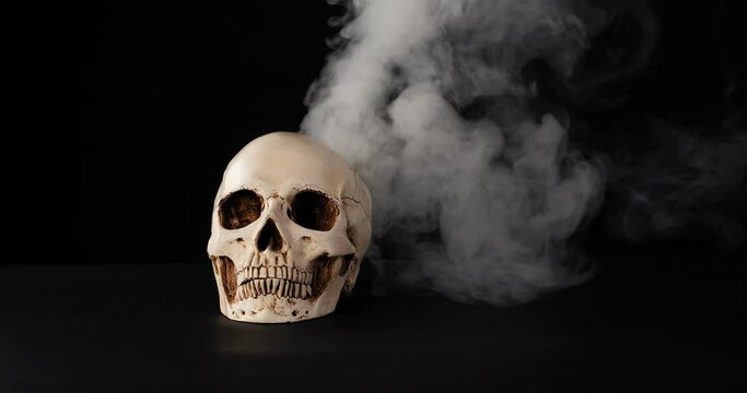 Human skull with fume on dark background
