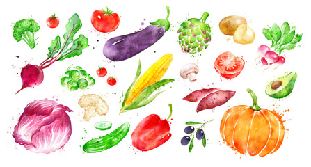 Watercolor illustration set of vegetables
