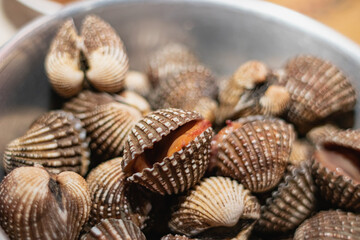 Several pieces of cooked scallops in a container