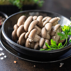 oyster mushroom raw mushrooms meal snack diet vegan or vegetarian food copy space food background rustic. top view keto or paleo diet