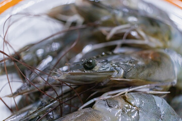 close up of several raw shrimps on a plate