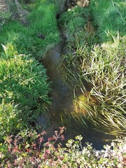 Peque&ntilde;o regato en el interior de Galicia