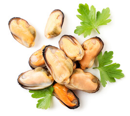 Heap of peeled mussels with greens on a white background, isolated. The view from top