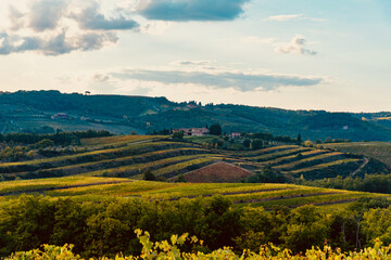 Obraz premium scenic views of the colors of the chianti in tuscany