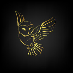 Barn owl flying over black background