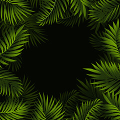 Fototapeta na wymiar Palm green leaves frame