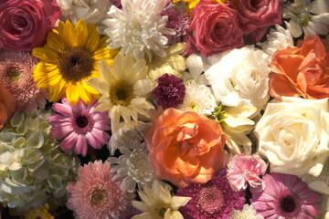 画面いっぱいの花