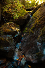 rocks in the middle of a moss-covered waterfall