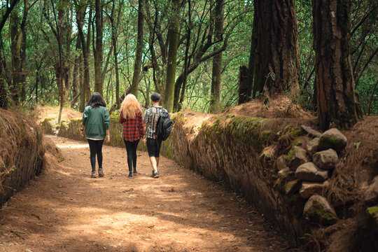 Three friends walking down an old road with their backs to the camera. Old road and three friends walking, travel and tourism concept. Vacation friends concept