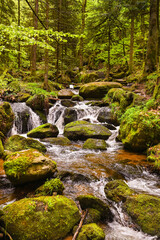 The Gertelbach waterfall in the Bühler valley, Northern Black Forest. Baden-Wuerttemberg, Germany, Europe